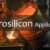 ferrosilicon application