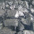 HP Ferrosilicon Calcium
